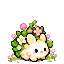 Mallowisp